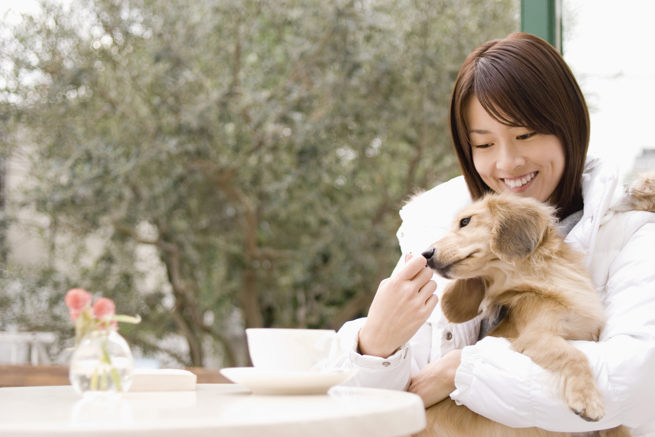 第二種動物取扱業